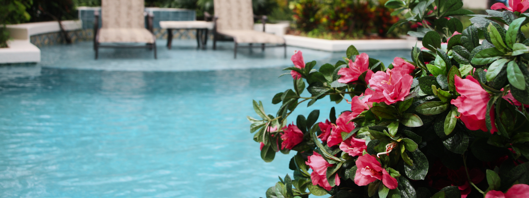 Pool Spring Bloom Spring Pool Maintenance | Pool Spa Life